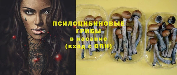 spice Михайловск