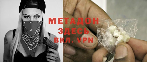 индика Тобольск
