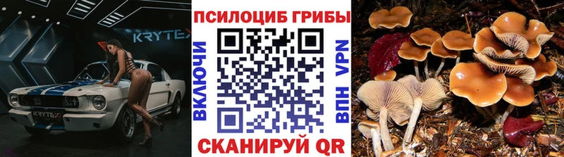даркнет сайт blacksprut ССЫЛКА Галлюциногенные грибы MAGIC MUSHROOMS Черноголовка